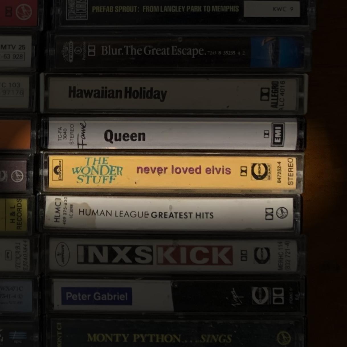 Never Loved Elvis