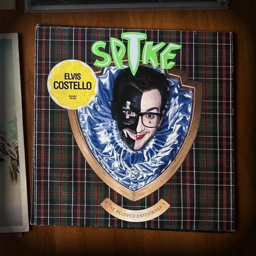 Stick Out & Knuckle Out by Elvis Costello
