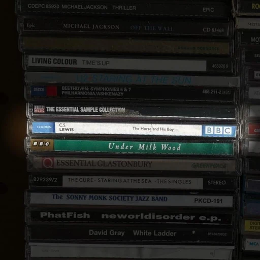 The Horse and His Boy