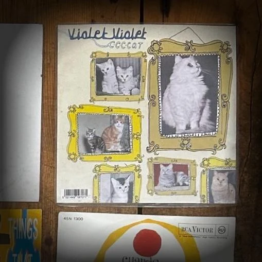 Violet Violet - C-c-c-cat