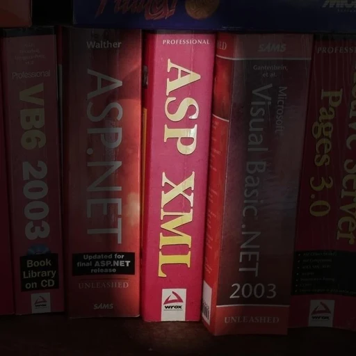 Professional ASP XML