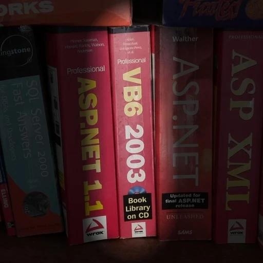 VB6 2003: Professional Book Library on CD