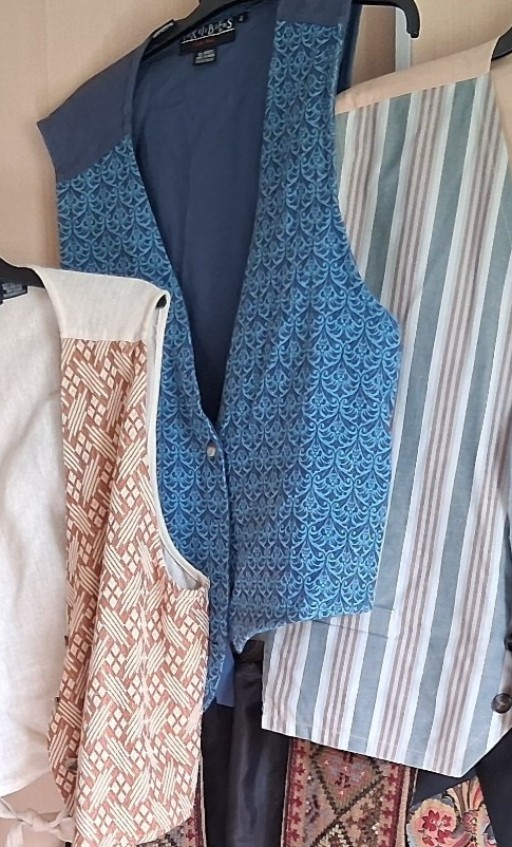 Blue Vest