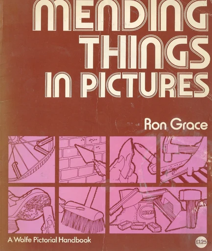 Mending Things in Pictures