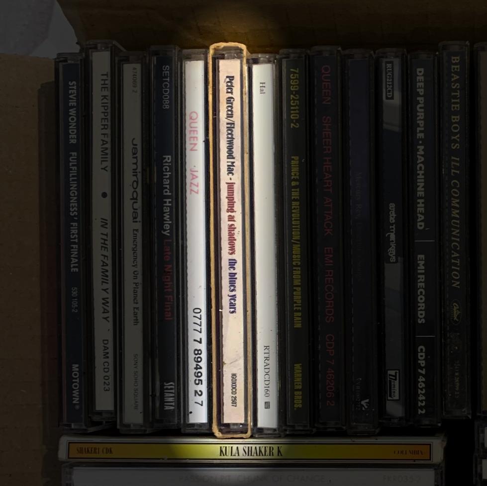 Jumping at Shadows: The Blues Years