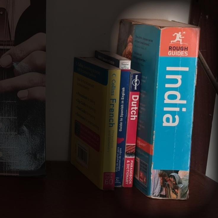 Rough Guide: India alt 1