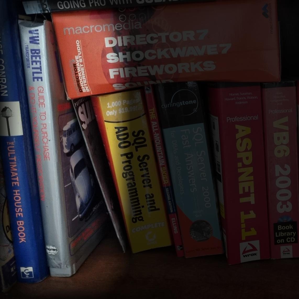 VW Beetle: Guide to Purchase & Transporter