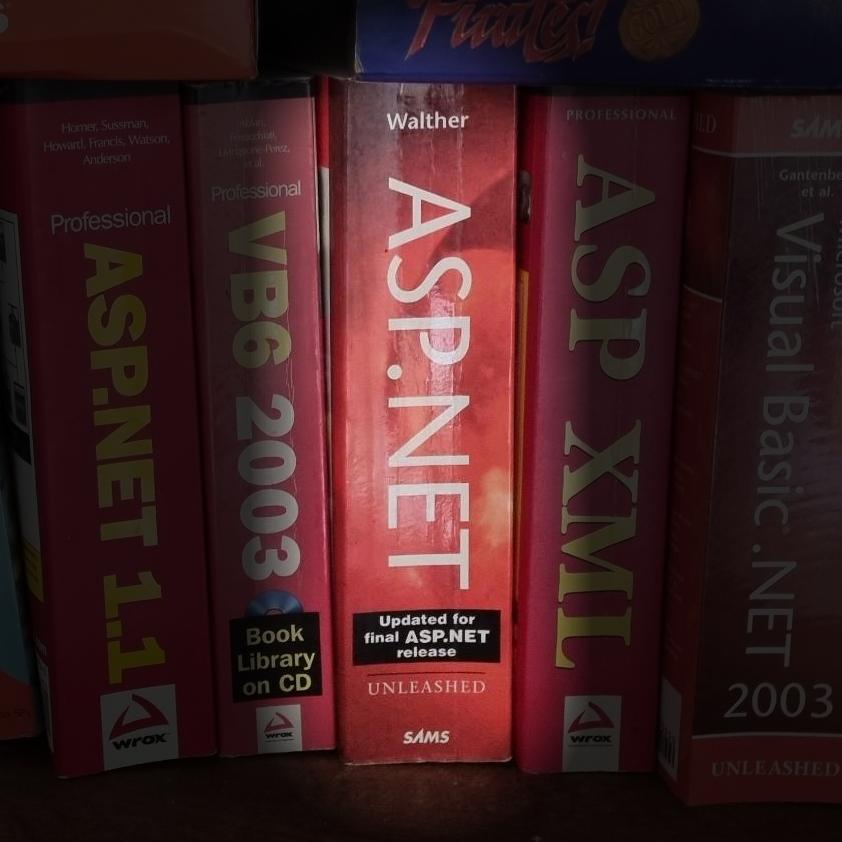 ASP.NET Unleashed