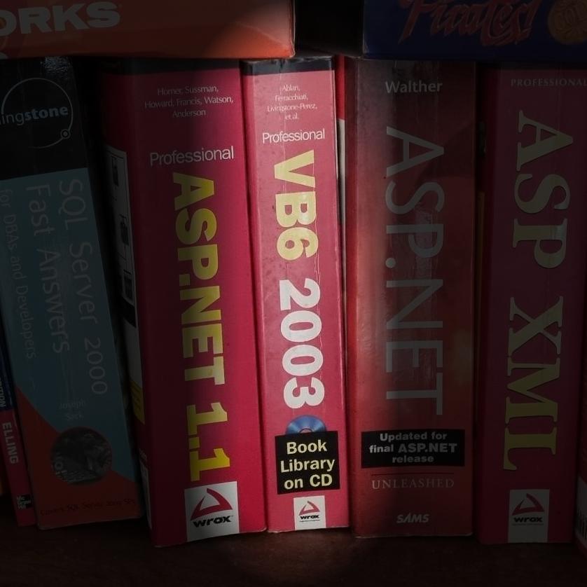 VB6 2003: Professional Book Library on CD