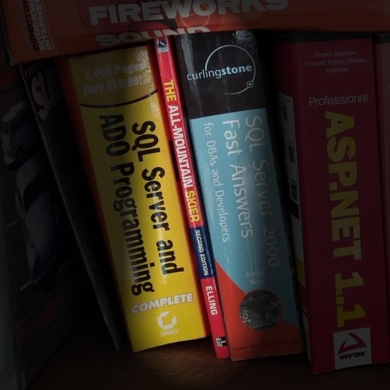 The All-Mountain Skier