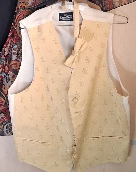 Proper posh waistcoat and tie combination alt 2